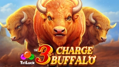 3 Charge Buffalo
