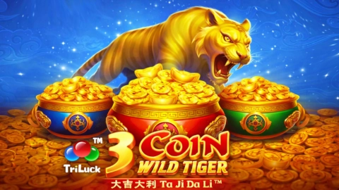 3 Coin Wild Tiger