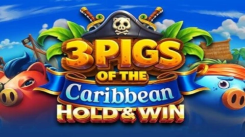 3 Pigs of the Caribbean