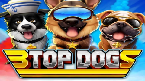 3 Top Dogs