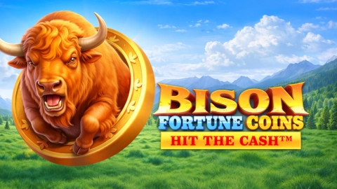 Bison Fortune Coins