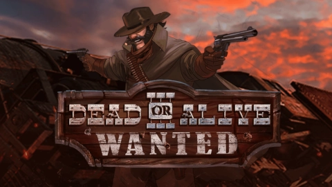 Dead or Alive 3: Wanted