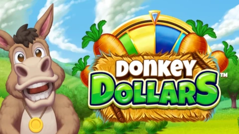 Donkey Dollars