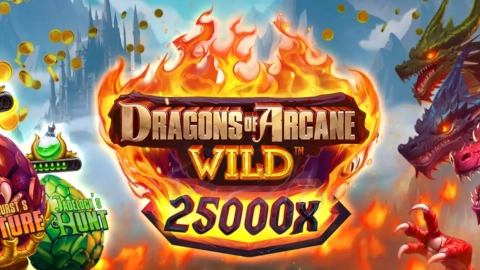 Dragons of Arcane Wild