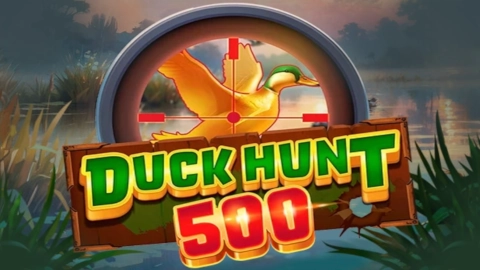 Duck Hunt 500