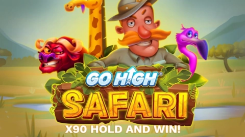 Go High Safari