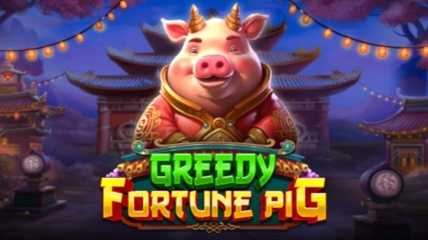 Greedy Fortune Pig