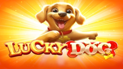 Lucky Dog