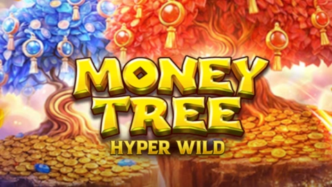 Money Tree Hyper Wild