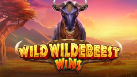 Wild Wildebeest Wins