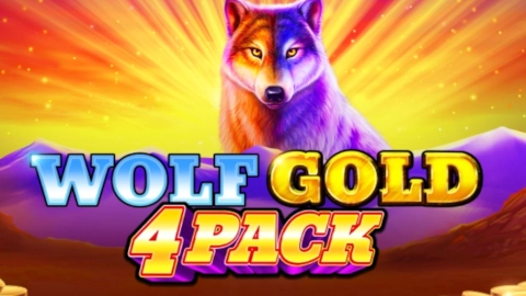 Wolf Gold 4 Pack